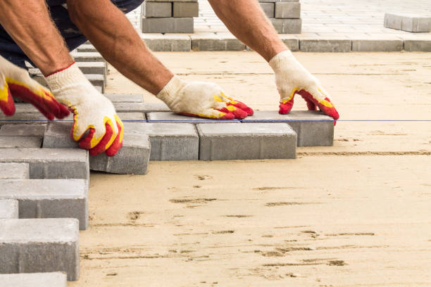 Best Local Driveway Pavers  in Shorewood, IL