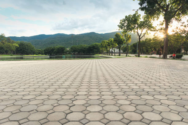 Best Driveway Paving Contractor  in Shorewood, IL